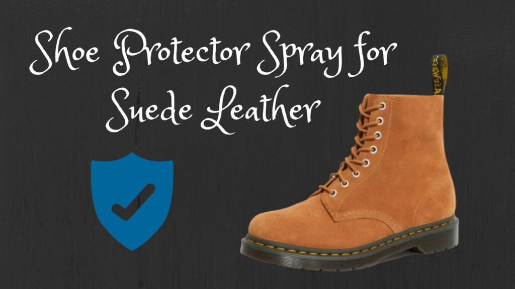 best leather and suede shoe protector