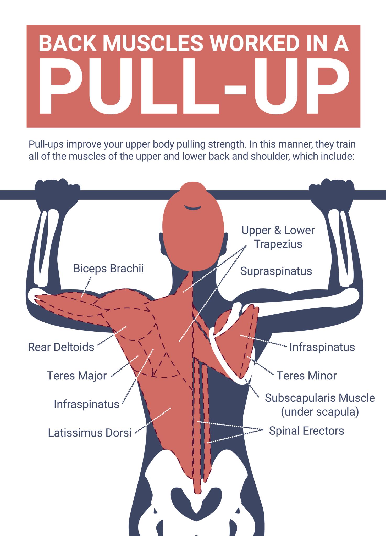 Best Home PullUp Bar 2023 Review & Buying Guide